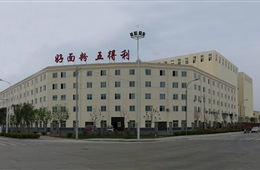 小麦制粉工程完成投资60亿元