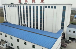 郑州珈琪面业