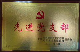 国控集团2021年先进党支部